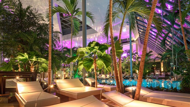 Zona de piscina con sillones de descanso y palmeras, rodeada de exuberante vegetación.