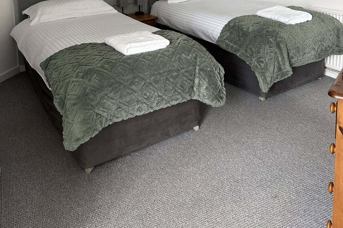 A hotel room with two beds, a grey carpet, a green headboard, and a framed picture on the wall.