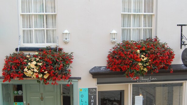 A building with two doors labeled "The Olive Branch" and "The Olive Room." - The Olive Branch (Ilfracombe)