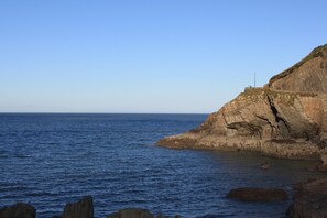 A coastal landscape with a rocky cliff and calm sea. - The Olive Branch (Ilfracombe)