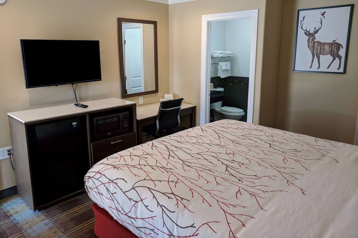 Une chambre d’hôtel comprenant un lit, un bureau avec une télévision, un micro-ondes, un miroir, une salle de bain et une œuvre d’art représentant un cerf accrochée au mur.