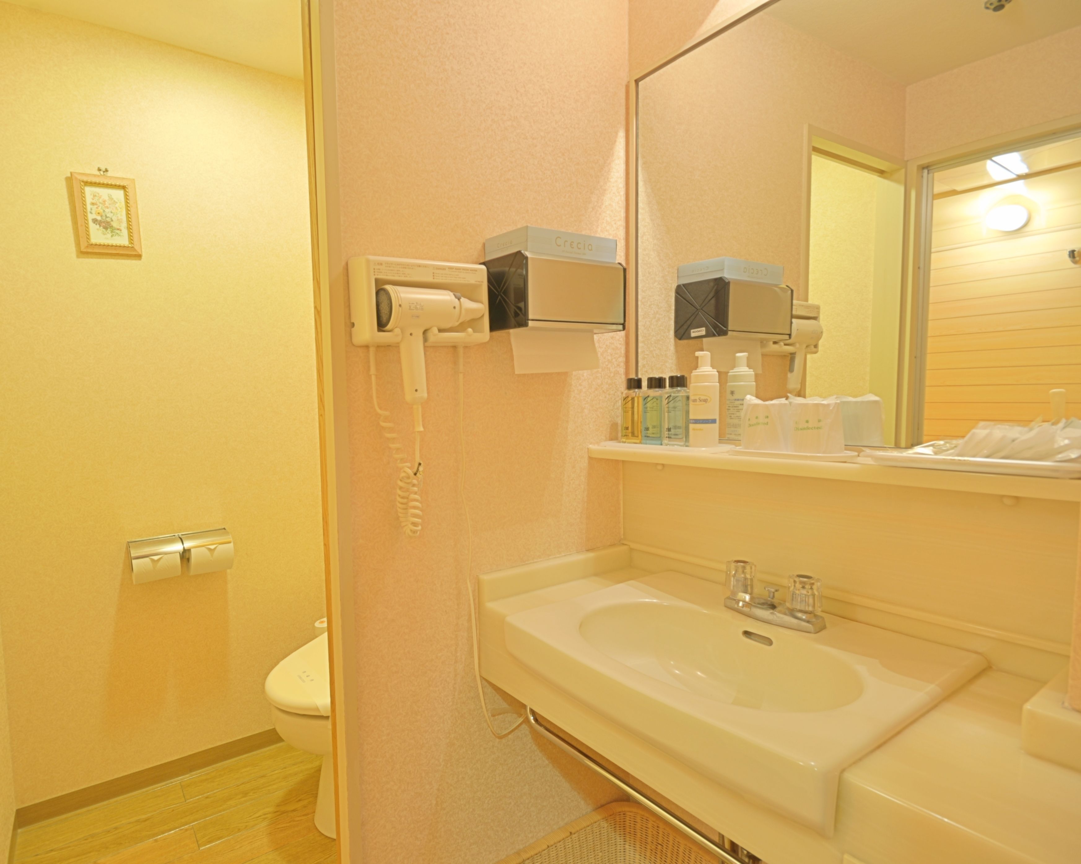 A bathroom with a white sink, a mirror, a hairdryer, and toiletries on the counter.