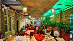 A restaurant with wooden tables and chairs, a green ceiling, and potted plants. - Hotel Grand Holiday (Pokhara)
