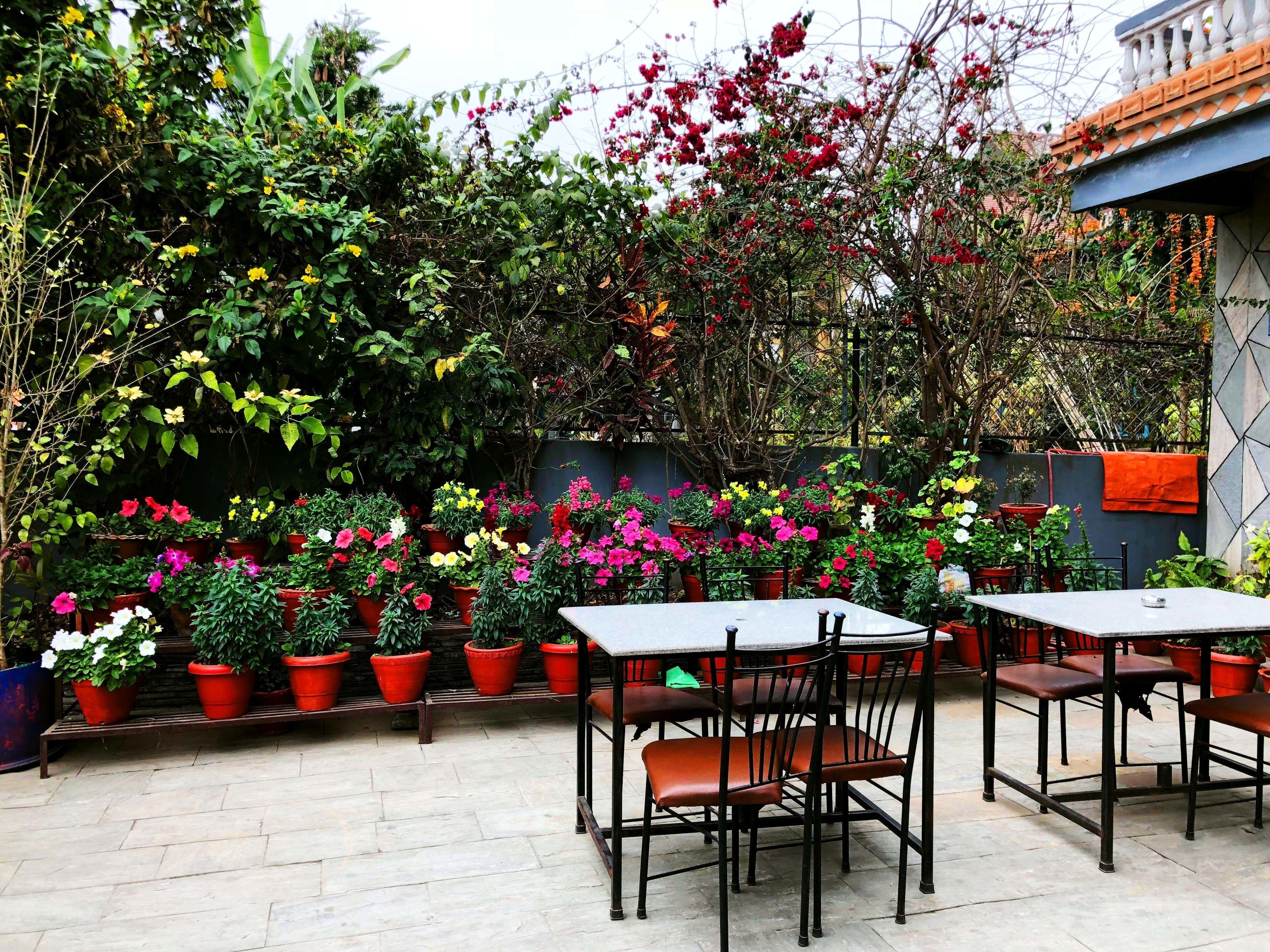 An outdoor patio area with multiple tables and chairs, surrounded by potted plants and flowers.
