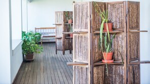 Ảnh chưa phân loại, 3 trong số 56 ảnh, nút