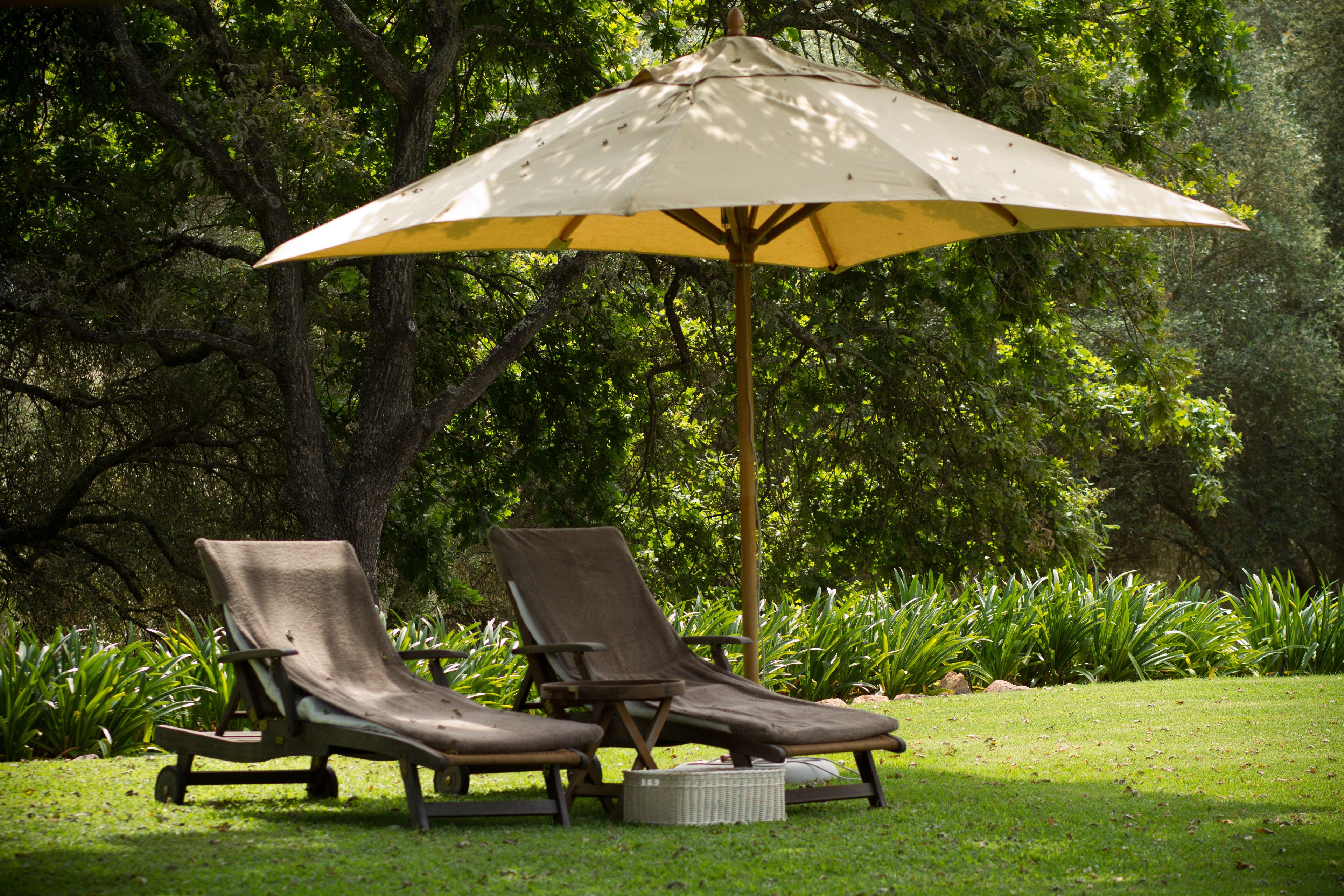 Two lounge chairs under a large umbrella in a grassy area with trees in the background.