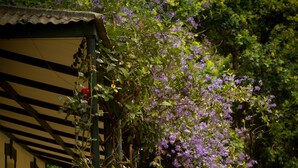 Caminho no jardim que leva a um edifício com pérgola verde e flores roxas.