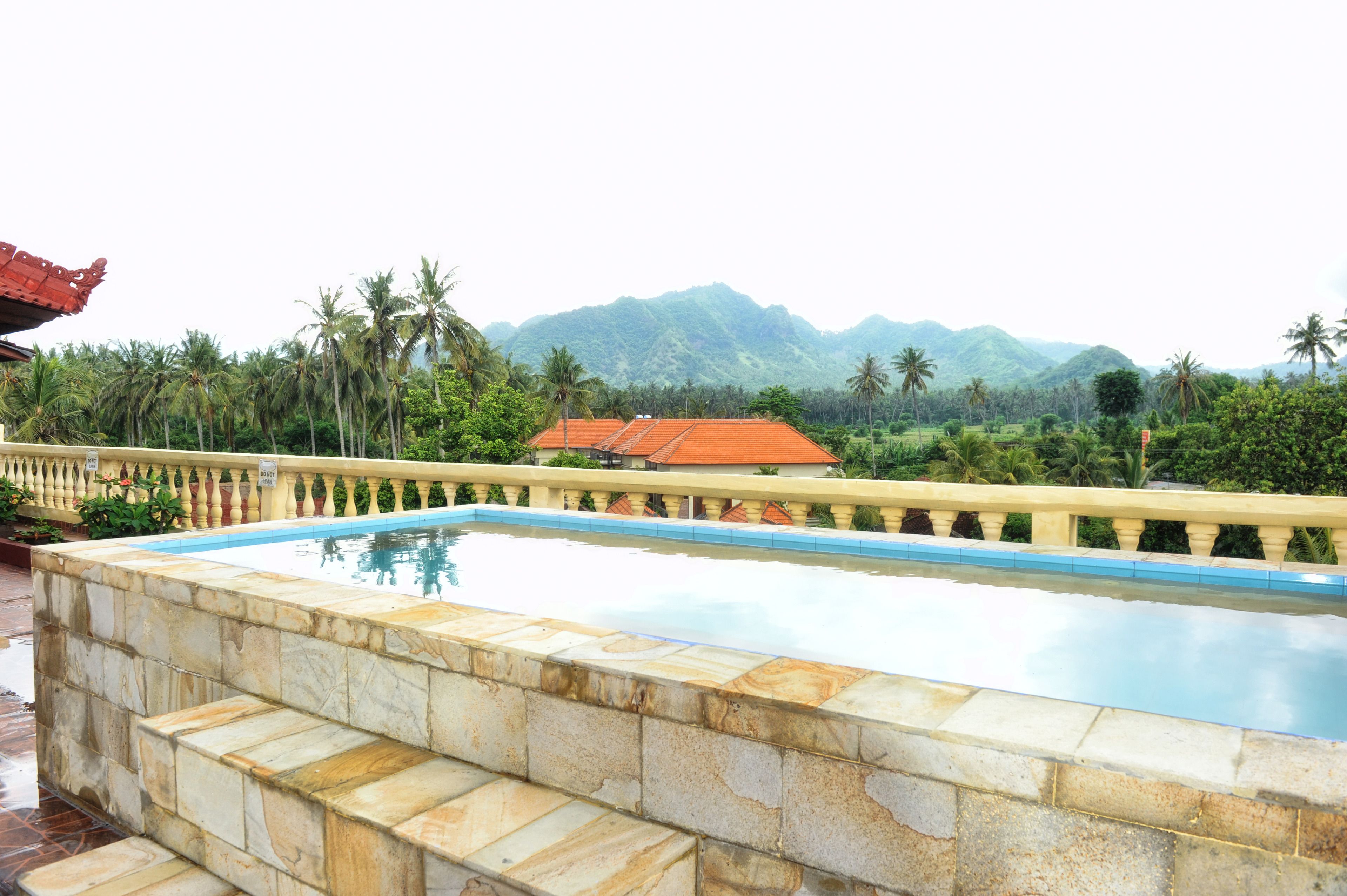 A swimming pool with stone steps, surrounded by a balustrade, with a view of mountains and palm trees in the background.