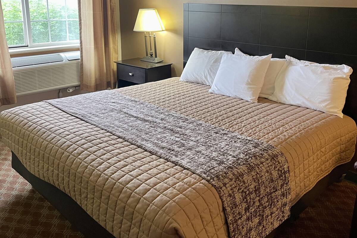 A hotel room with a large bed, a nightstand with a lamp, and a window with curtains.