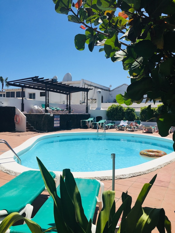 Outdoor pool, open 9:30 AM to 8:00 PM, pool umbrellas, sun loungers