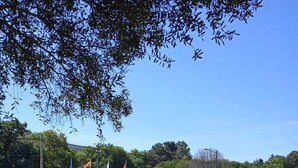 A well-maintained lawn with a variety of shrubs and a small pond. - Hotel Rural Campaniola (Pontevedra)