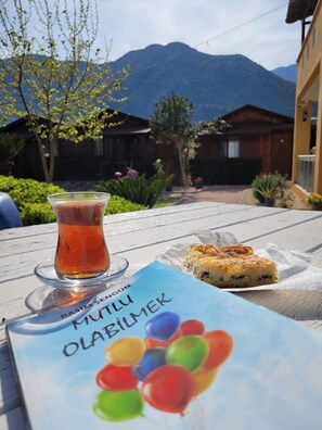 40-inch LCD TV with satellite channels, TV