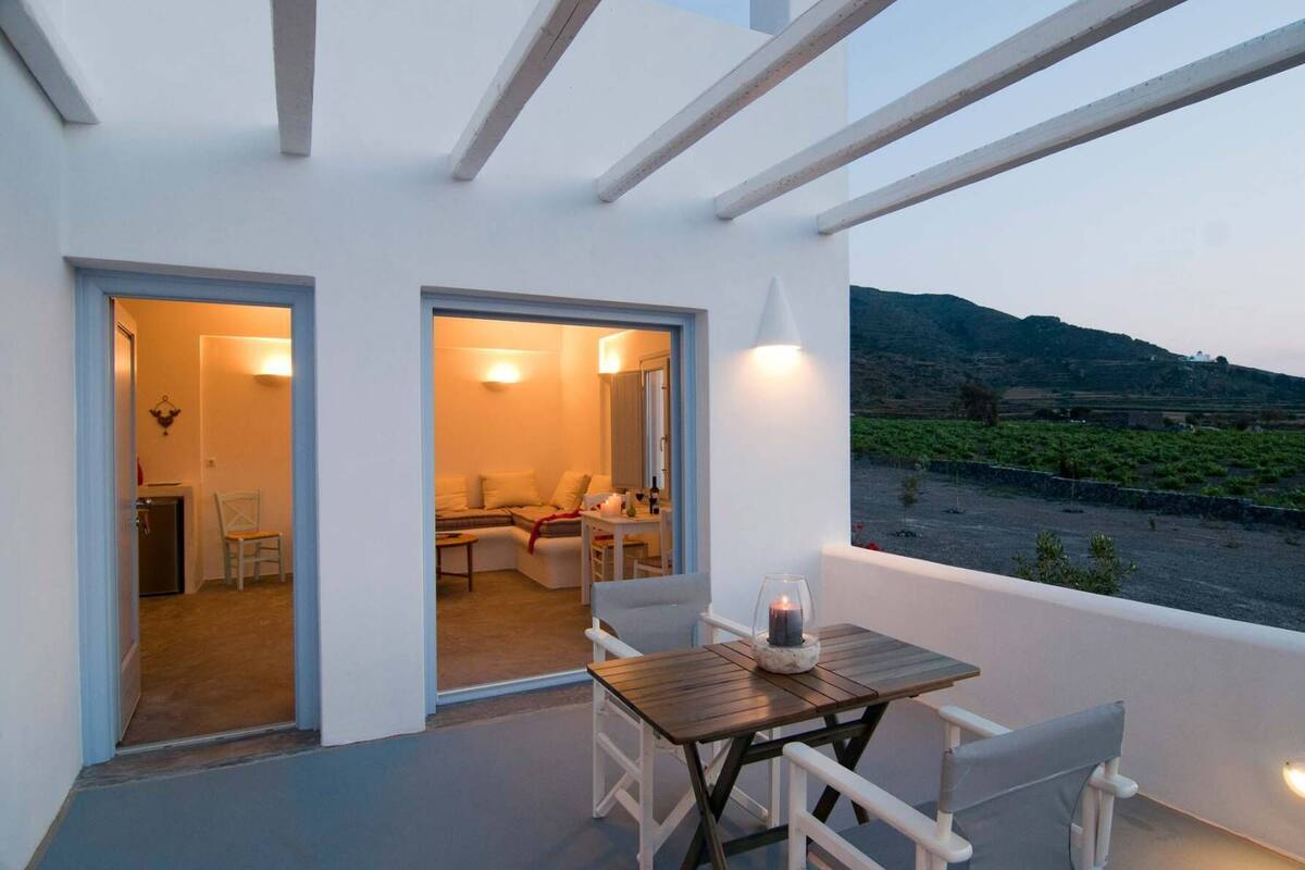 A balcony with a table and chairs, a view of a vineyard, and a cozy interior with a sofa and a chair.