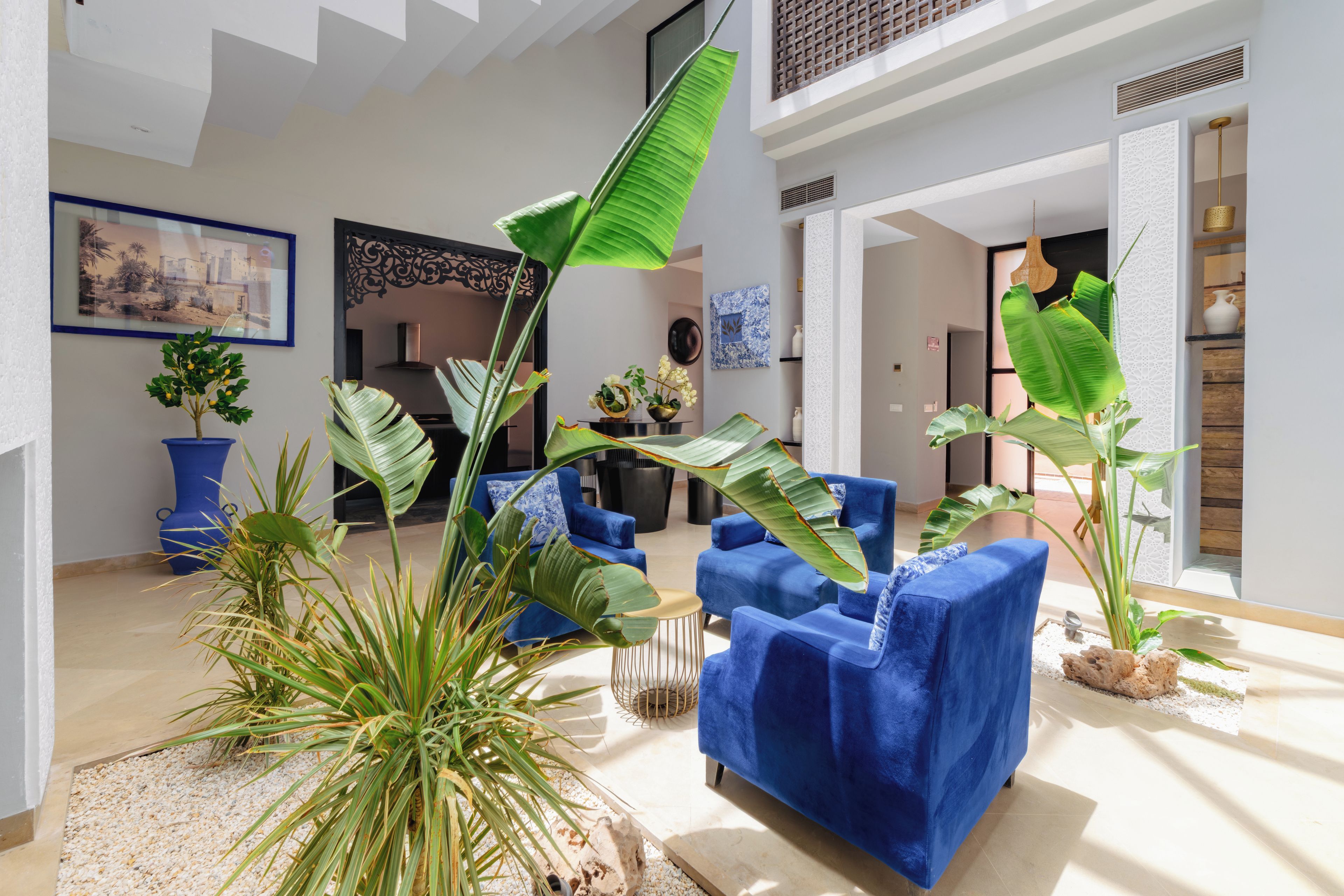 A spacious living area with blue sofas, large green plants, and a modern design.