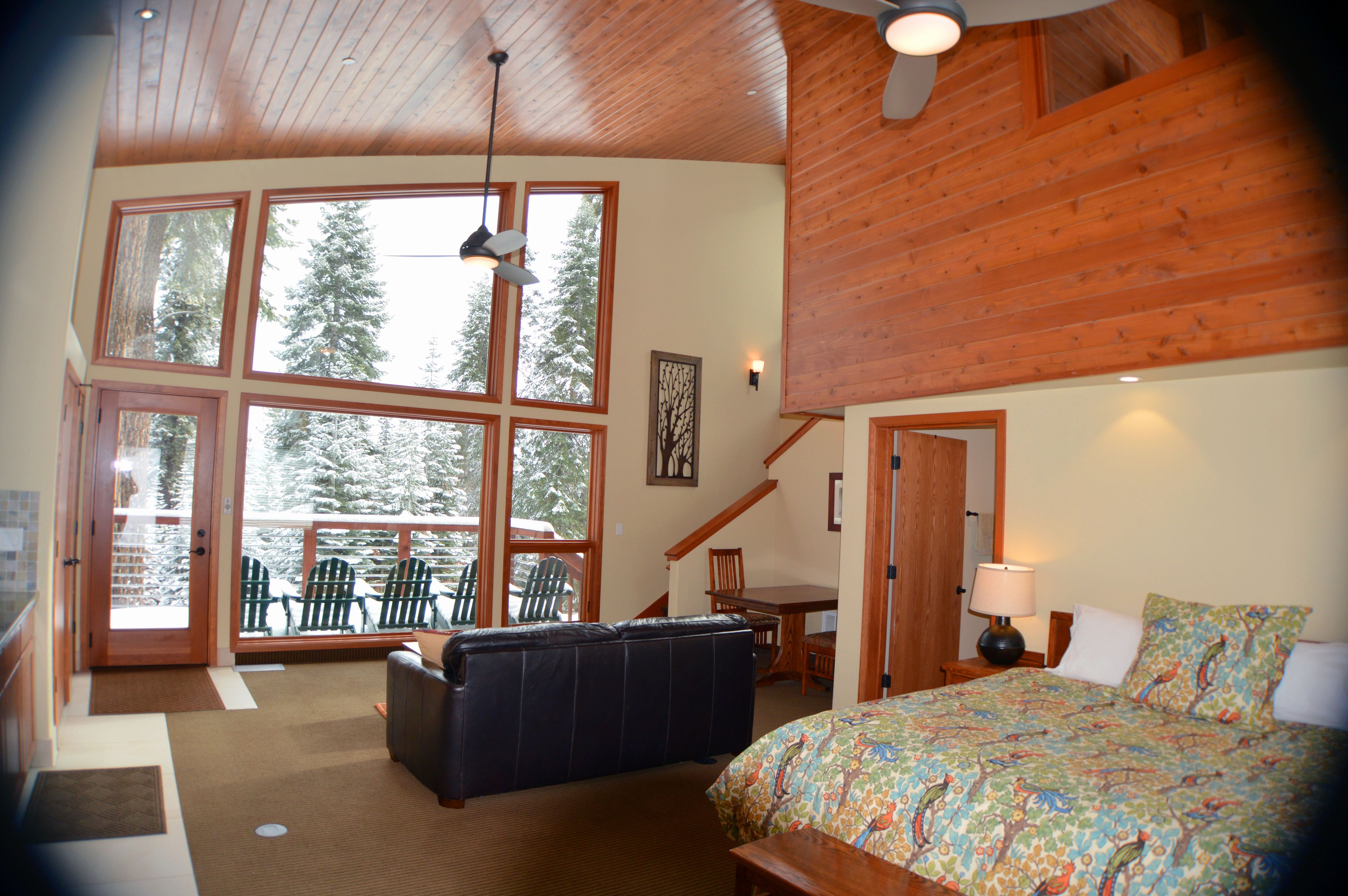 forest cabin, king bed and bunk bed | view from room