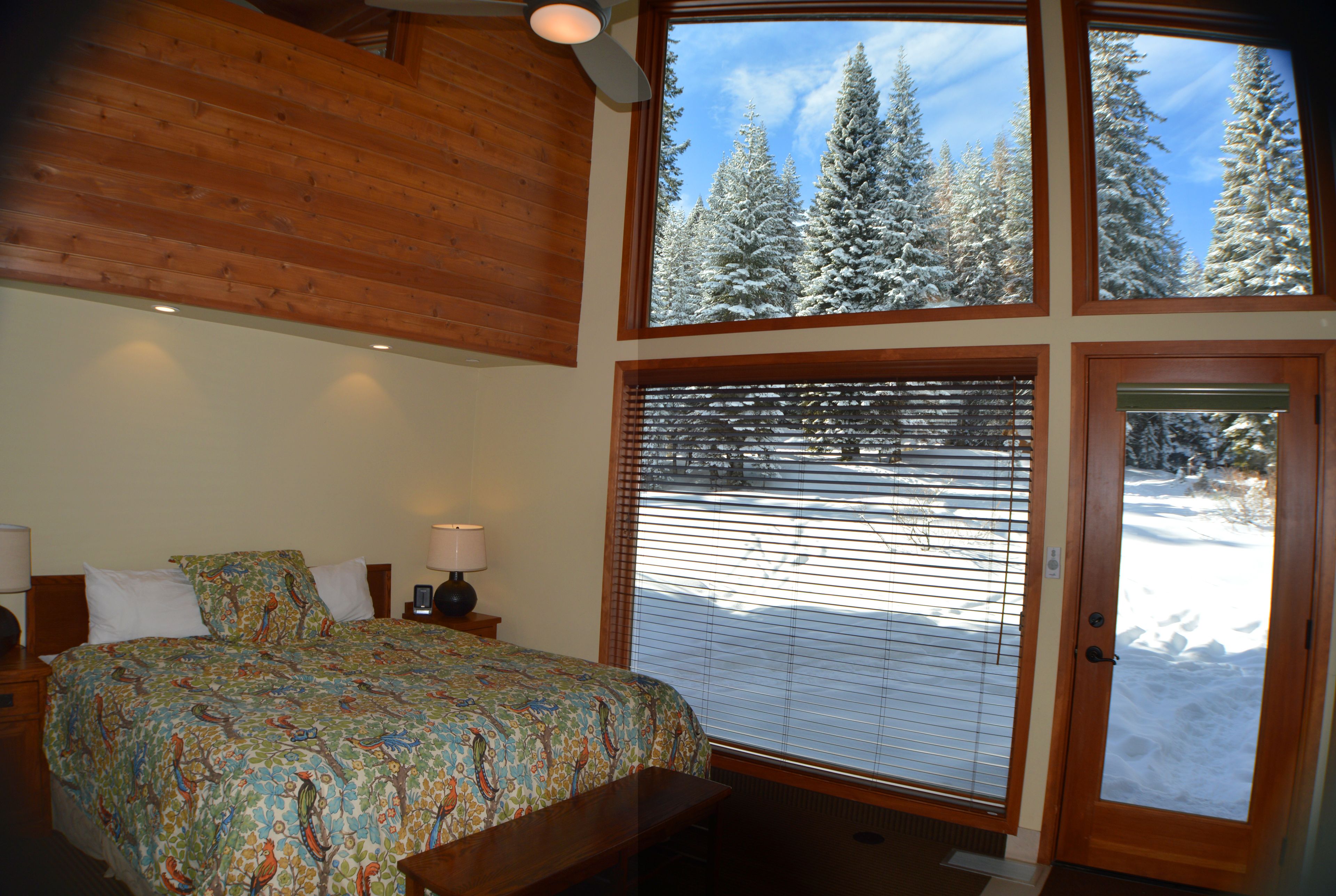 forest cabin, king bed and bunk bed | view from room