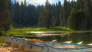 Una fila de canoas numeradas en una orilla arenosa, con un bosque y un lago al fondo.