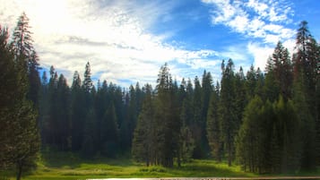 Cảnh từ trên cao