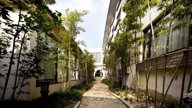 A narrow pathway flanked by bamboo plants and a patterned stone floor leading to a building entrance. - Garden Hotel (Suzhou)