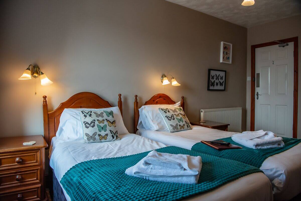 A double bed with white linens and butterfly-themed pillows, a green throw blanket, and a bedside table with a book and a remote control.
