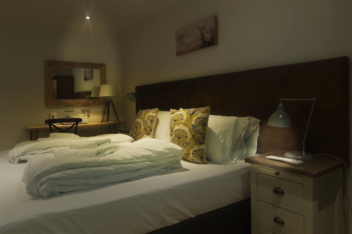 Phòng đôi hoặc 2 giường đơn (Dog Friendly Room) | Bàn, bàn ủi/dụng cụ ủi quần áo 