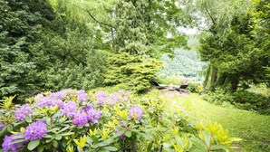 A lush garden with a variety of plants and flowers, including purple rhododendrons, and a seating area with chairs and a table. - Parkhotel Atlantic Heidelberg (Heidelberg)