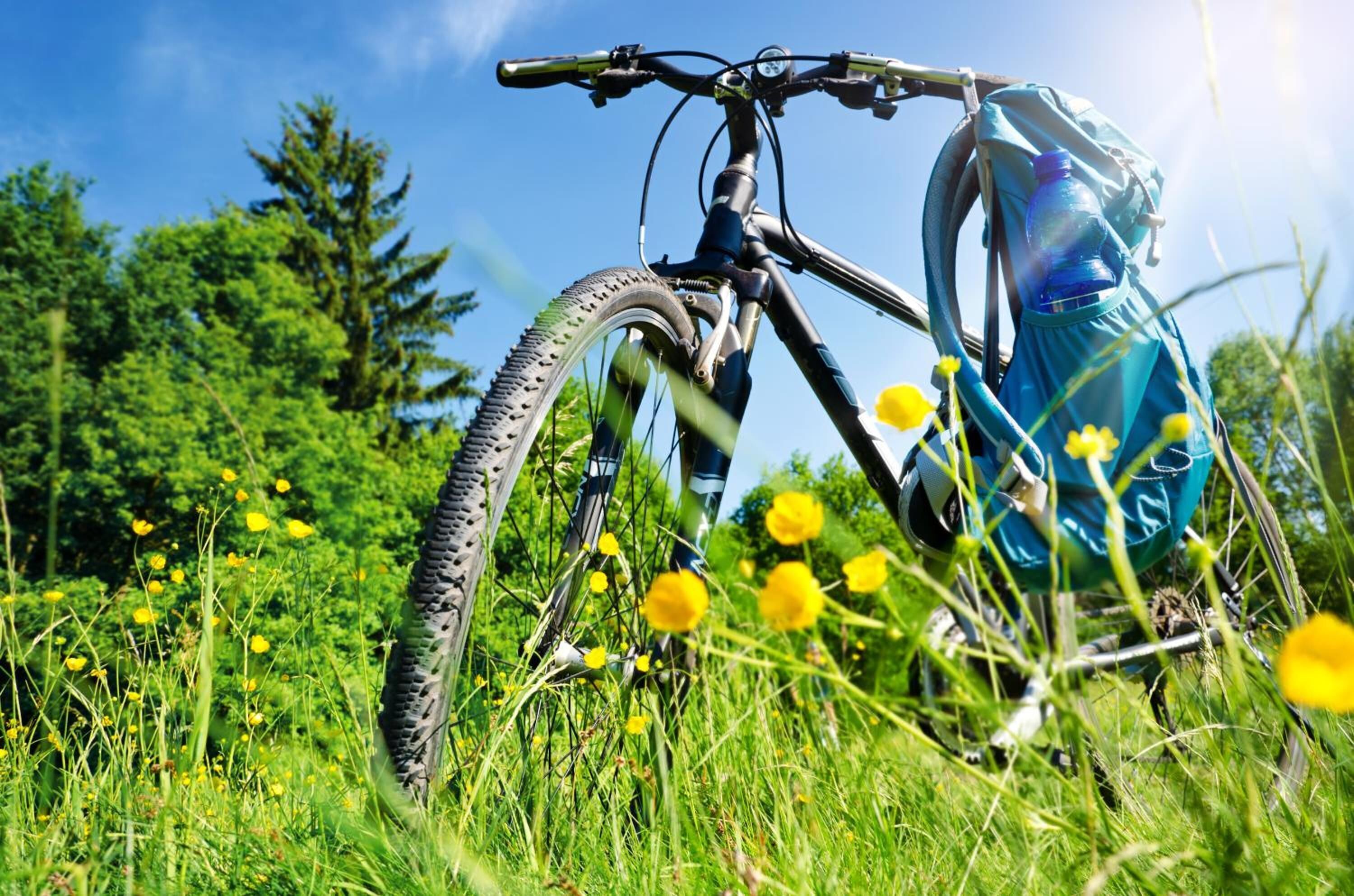 Bicicleta com garrafa de água e bolsa em um campo gramado com flores amarelas.