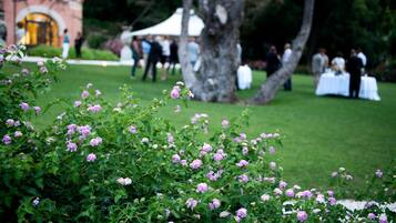 Um jardim com flores cor-de-rosa e um edifício ao fundo.