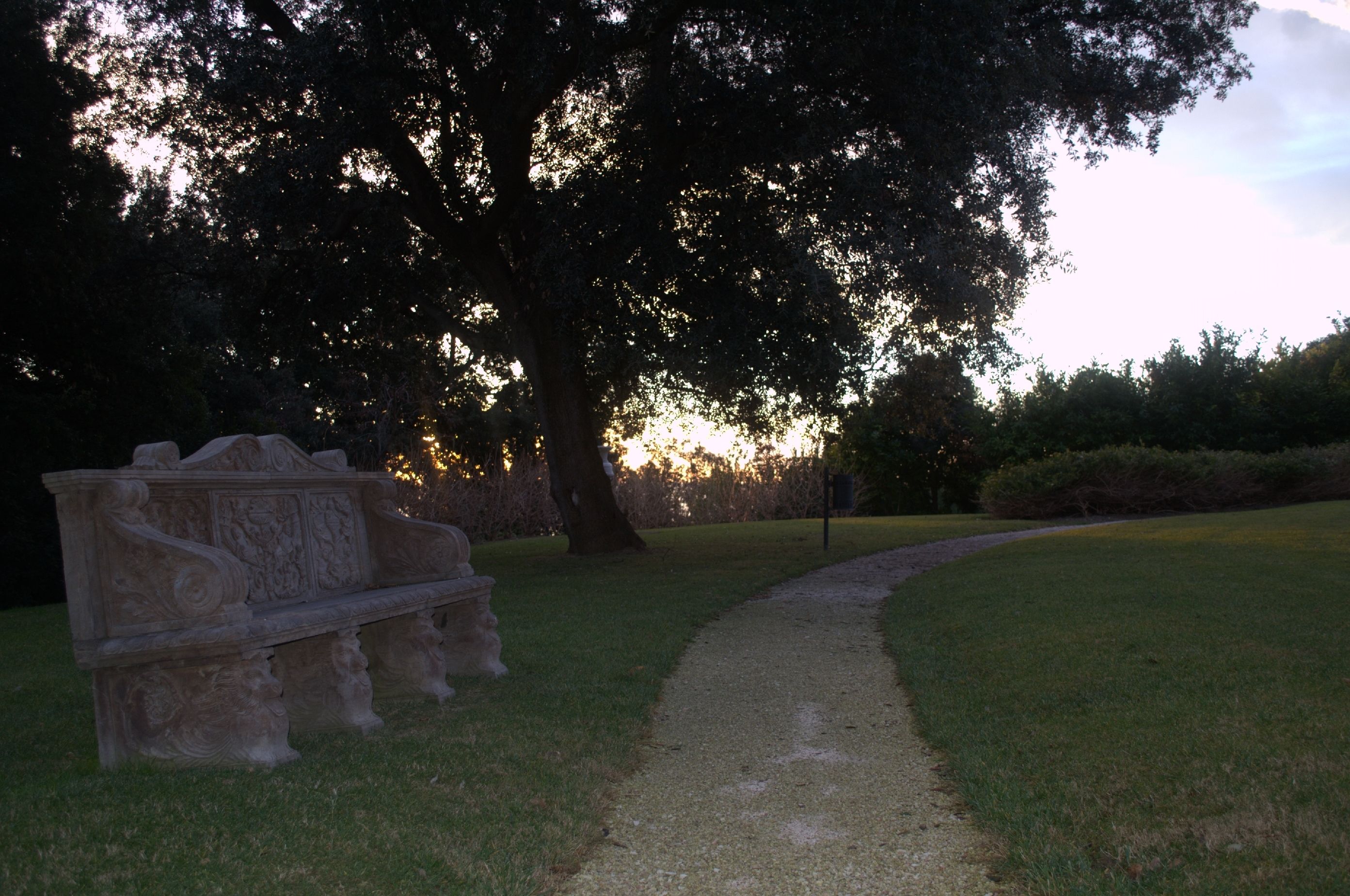 Un banc en pierre et un sentier dans un parc.