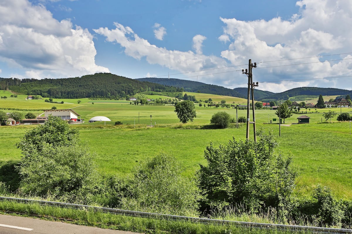 Vista desde la habitación