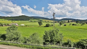 Vista desde la habitación