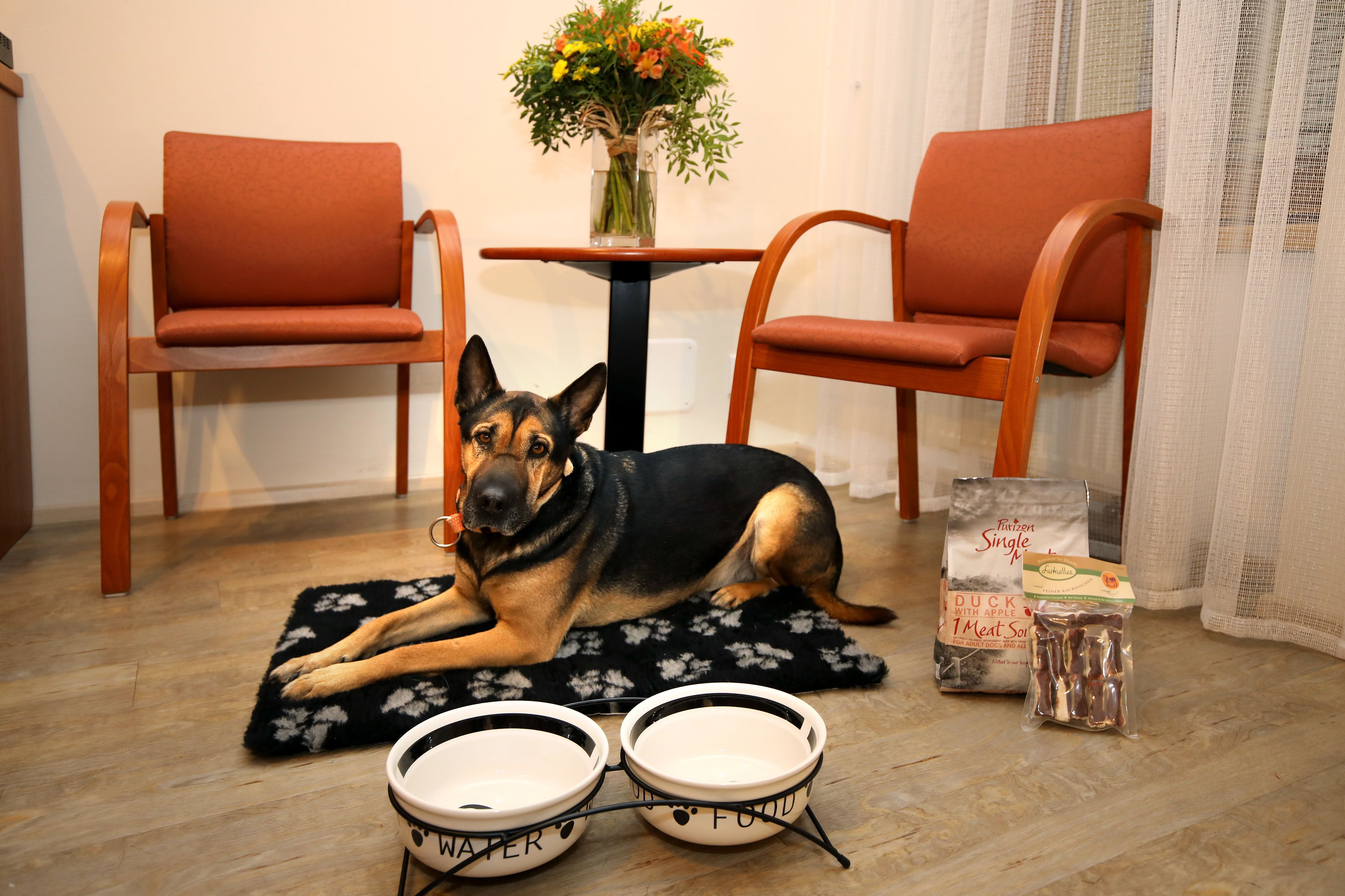 A dog lying on a mat with two bowls in front of it, a table with a vase of flowers, and two chairs.