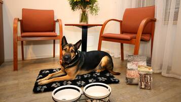 A dog lying on a mat with two bowls in front of it, a table with a vase of flowers, and two chairs.
