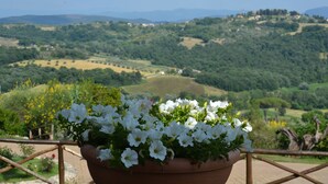 Ein terrakottafarbener Blumentopf mit weißen Blüten auf einem Balkon mit Blick auf sanfte Hügel und einen klaren Himmel.