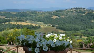 Quang cảnh nhìn từ nơi lưu trú