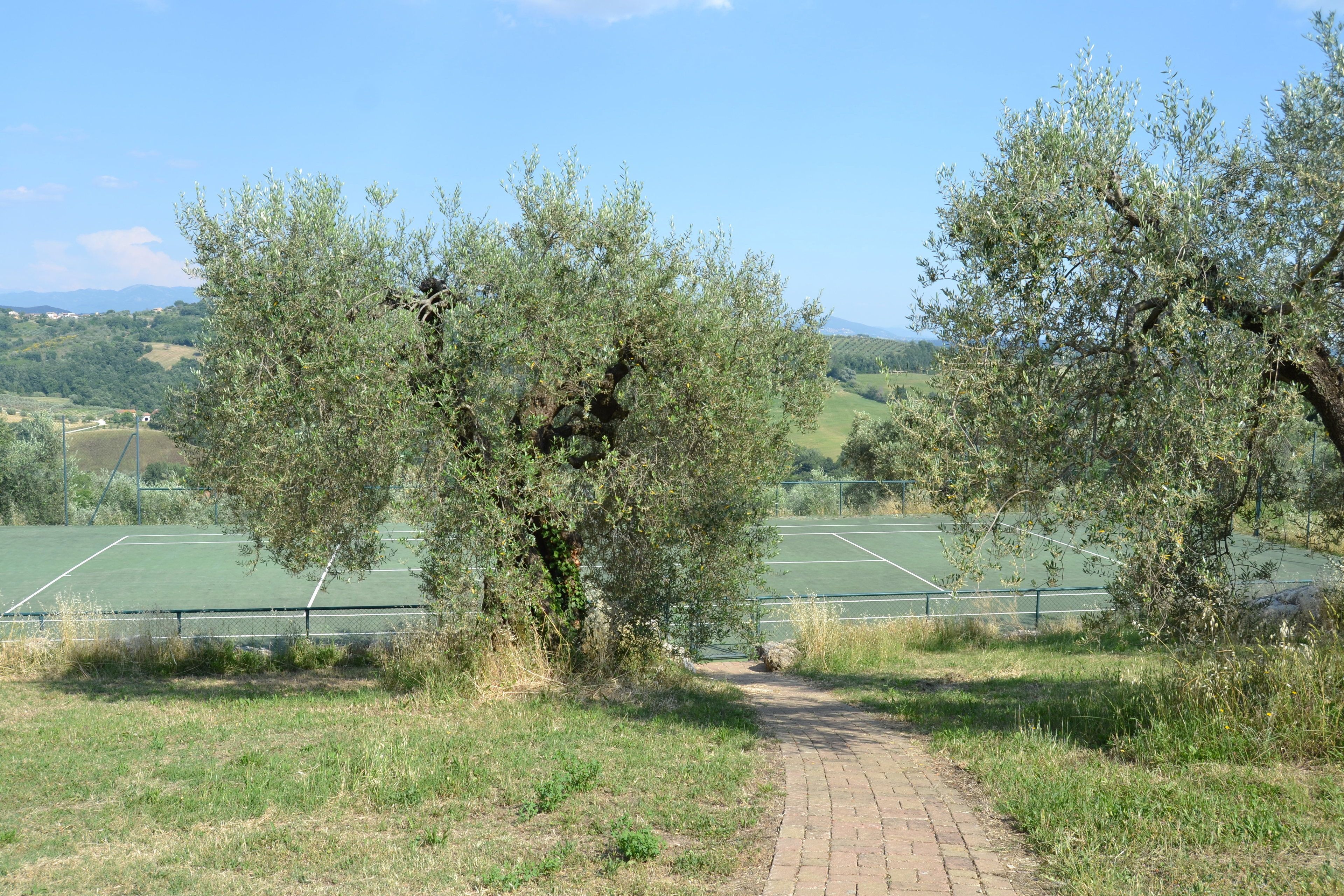 A pathway leading through a green landscape with trees and a tennis court in the background.