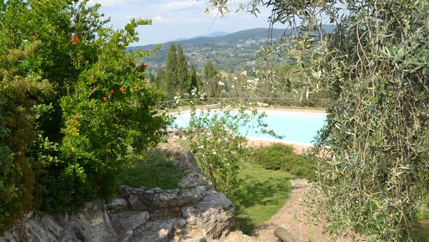 Ein gepflasterter Weg führt zu einem Pool, der von üppiger Vegetation und Olivenbäumen umgeben ist.