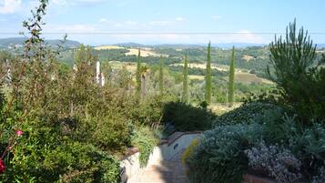 A garden pathway leading to a scenic view of rolling hills and distant buildings.