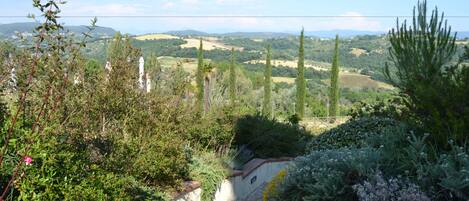 A garden pathway leading to a scenic view of rolling hills and distant buildings.