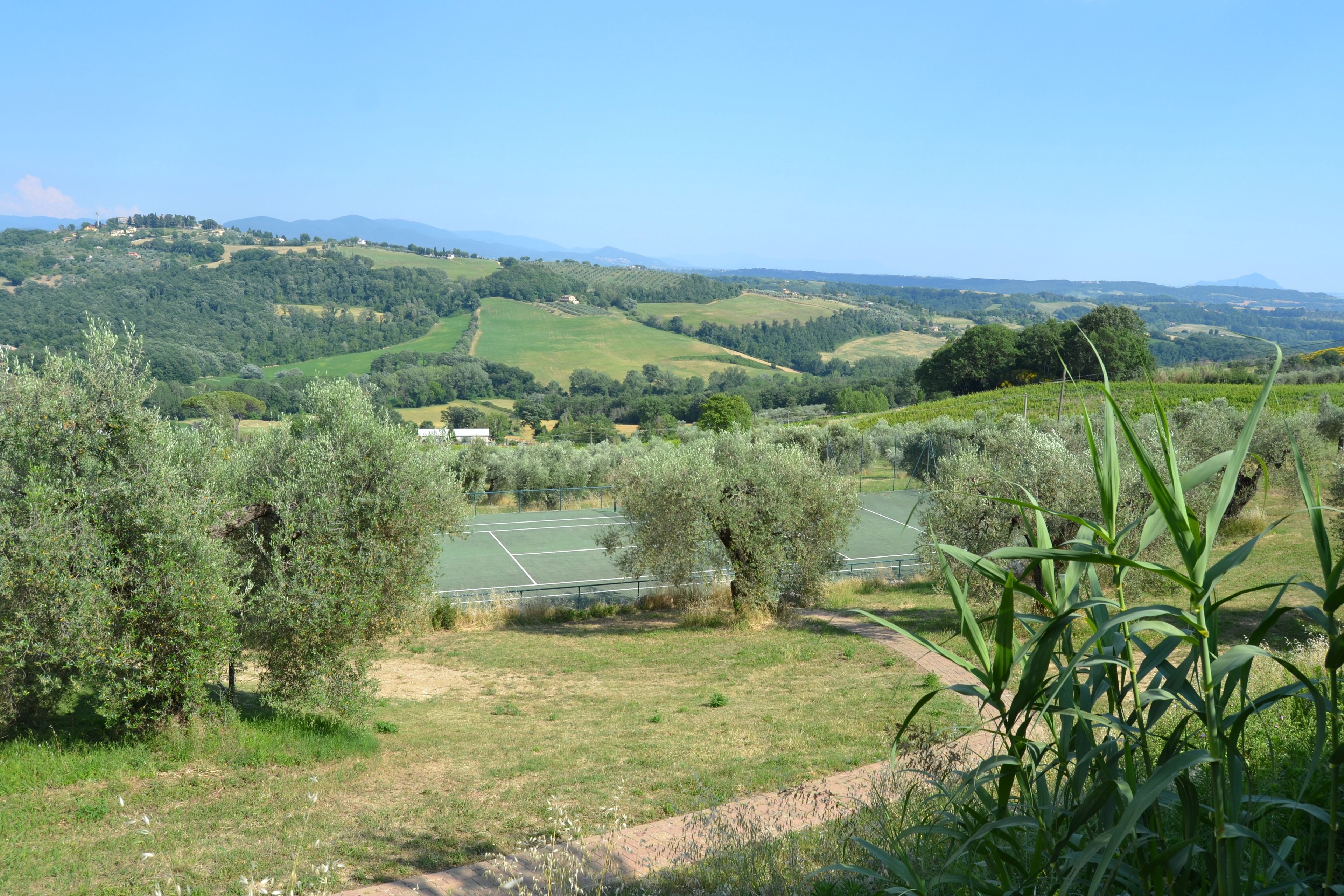 A tennis court surrounded by olive trees and rolling hills.