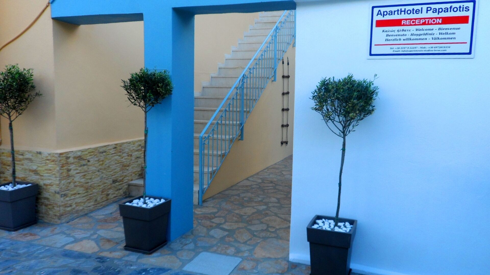Zona de recepción con pared azul, una escalera y dos plantas en macetas.
