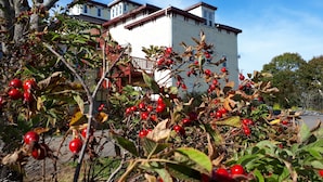 Een huis met balkon en een tuin met rode bessen.