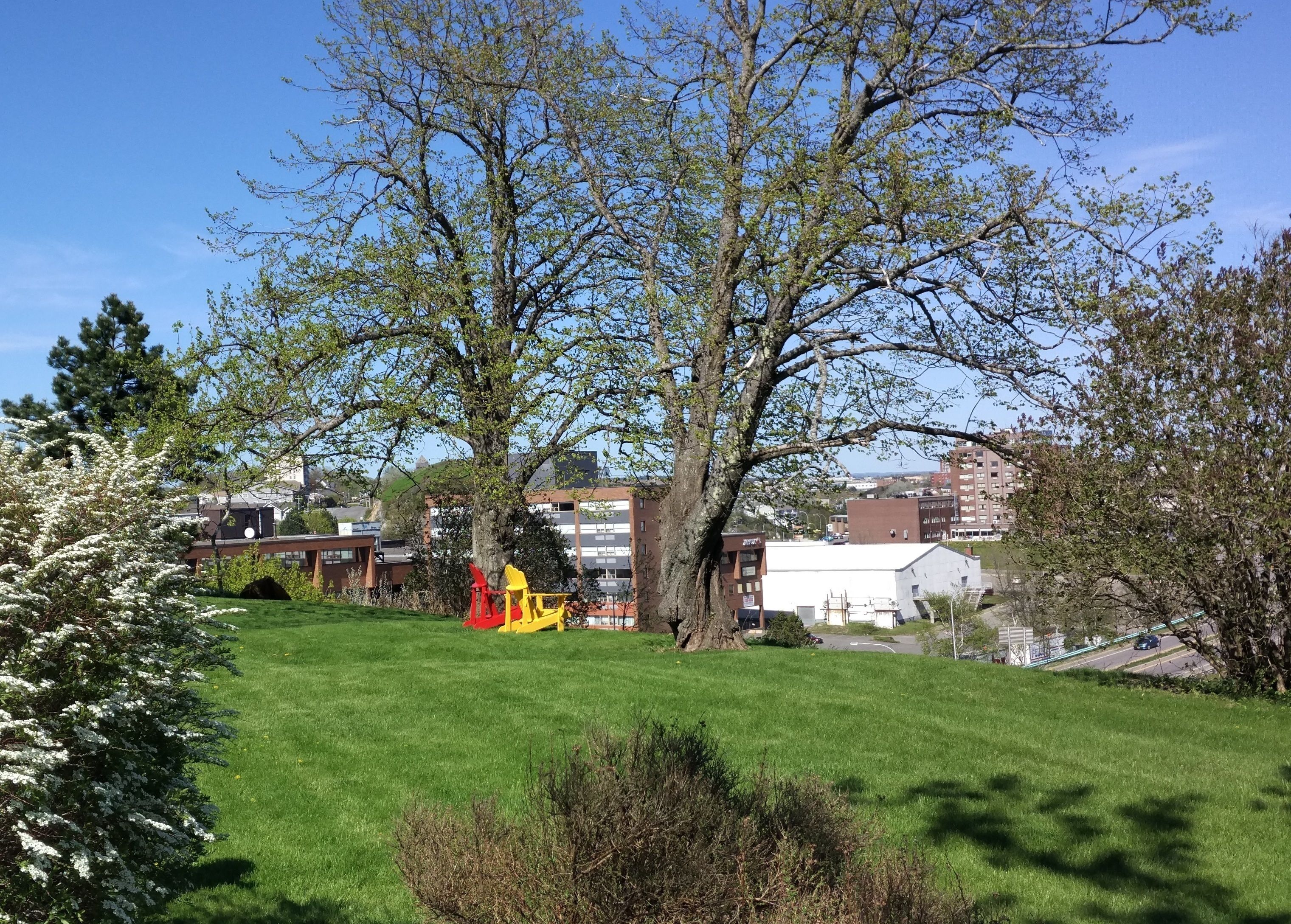 A grassy park area with playground equipment and trees, surrounded by buildings.