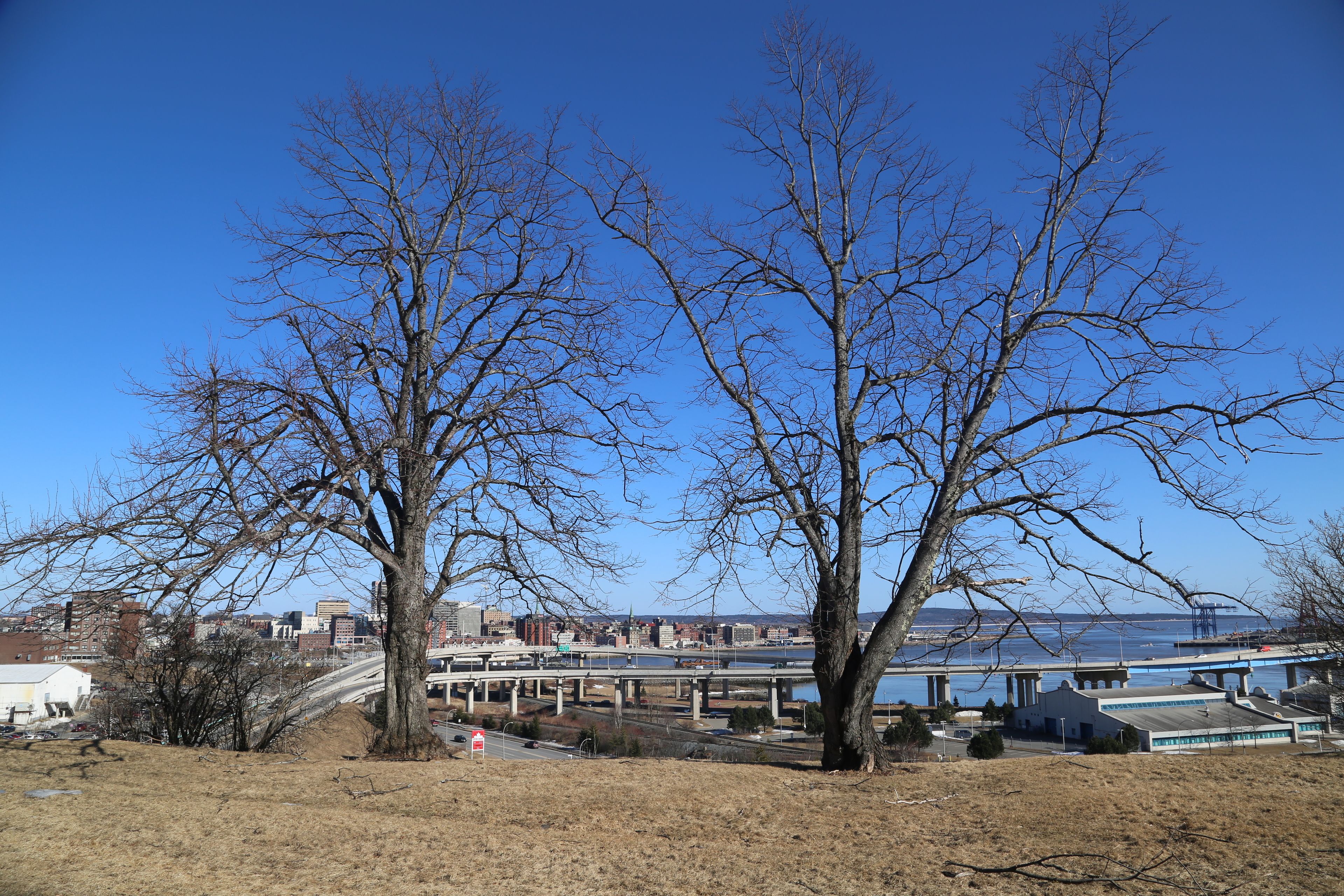 A view of a bridge over water with a cityscape in the background, including buildings and a river.