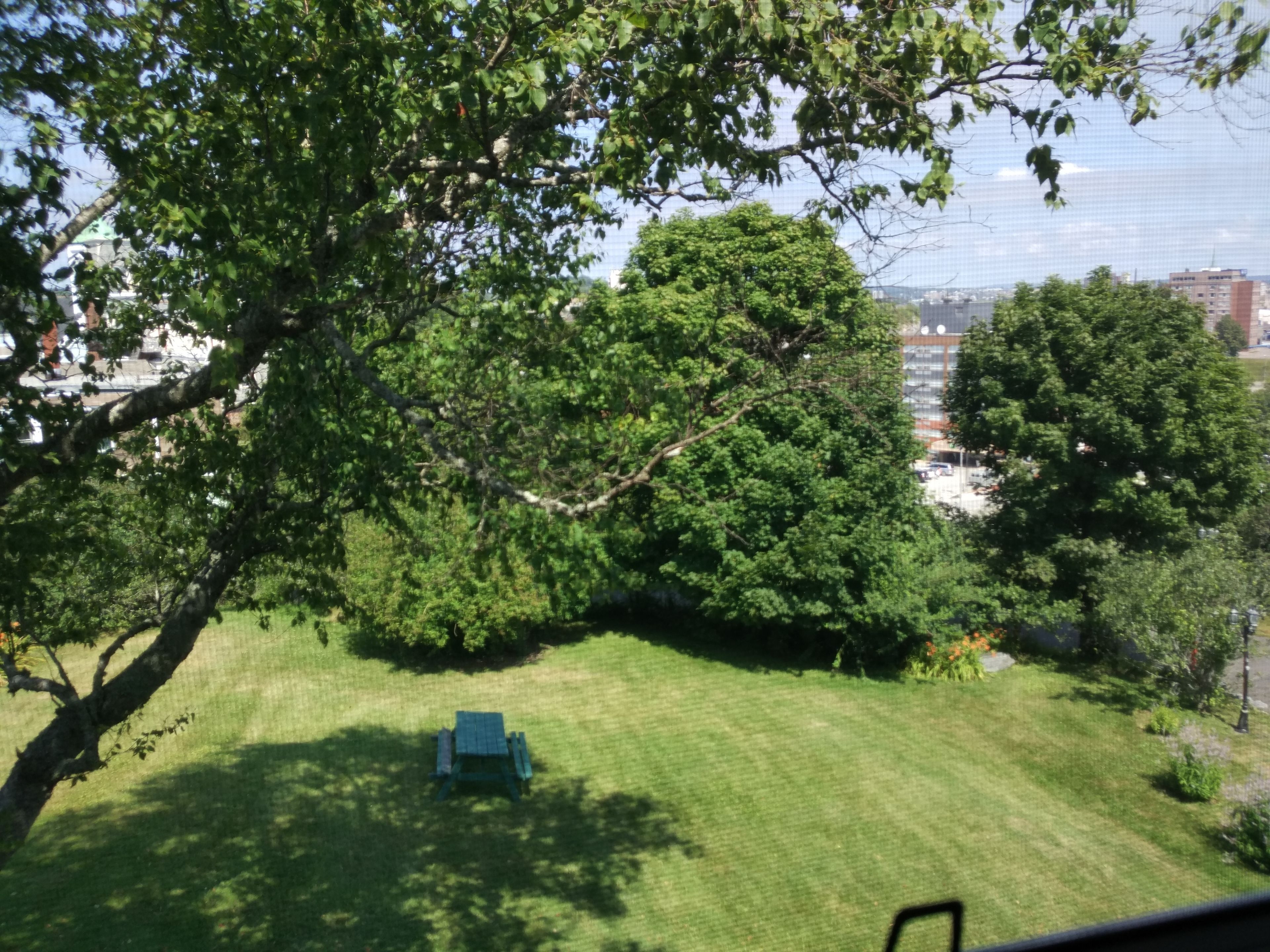 Un'area verdeggiante all'aperto con un tavolo da picnic, circondata da alberi e edifici sullo sfondo.