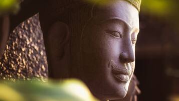 A close-up of a stone statue with intricate carvings, partially obscured by foliage.