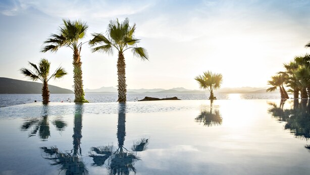 A serene infinity pool with palm trees reflecting on the water, surrounded by mountains and a clear sky. - TUI MAGIC LIFE Bodrum - Adults Only (16+) - All Inclusive (Bodrum)