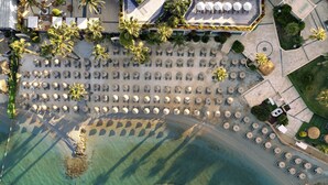 An aerial view of a beachside hotel with rows of sun loungers and umbrellas, a sandy beach, and palm trees. - TUI MAGIC LIFE Bodrum - Adults Only (16+) - All Inclusive (Bodrum)