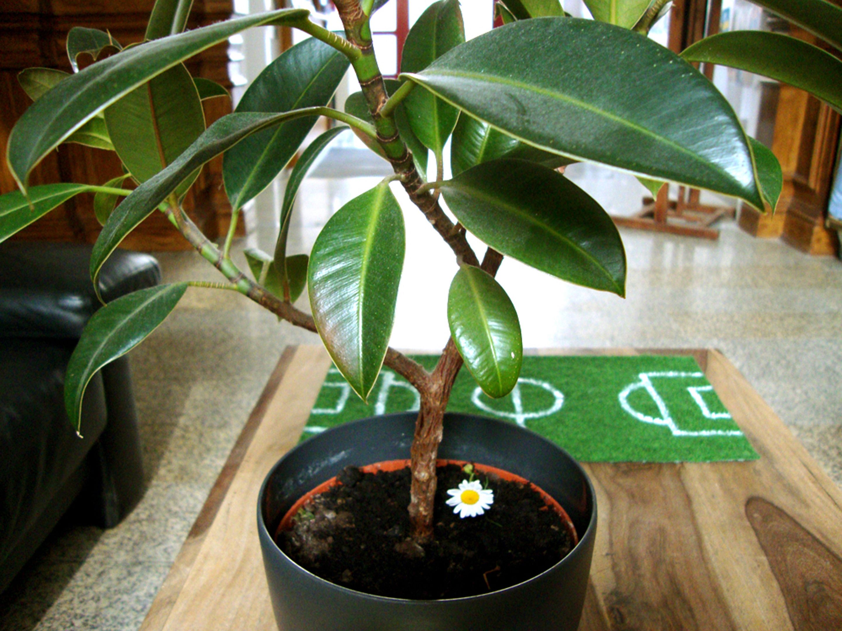 Foto - Wombat's City Hostel Leipzig