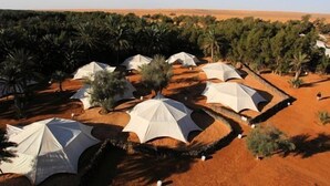 A desert resort with multiple white tents arranged in a circular pattern, surrounded by palm trees and sparse vegetation.